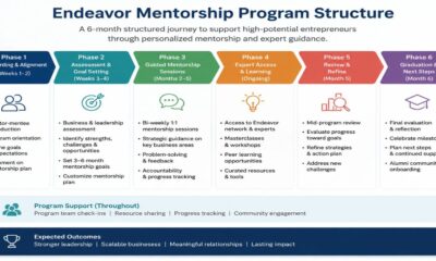 Endeavor mentorship program structure