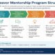 Endeavor mentorship program structure